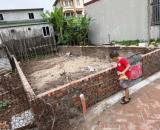 🔥 BÁN GẤP LÔ ĐẤT ĐẸP – PHÚC THỌ, MAI LÂM, ĐÔNG ANH 🔥  📐 Diện tích: 46m² nhỉnh 3 tỷ