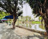 Bán đất sổ hồng riêng mặt tiền đường sông Vàm Thuật, phường Thới An, Quận 12 cũ
