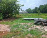 Bán đất tại xã Thường Tân, huyện Bắc Tân Uyên, Bình Dương cũ. Diện tích 5,5 Ha