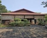 Bán nhà vườn Nguyễn Thị Chiên, Tân An Hội, Củ Chi: 13.381m2, giá 30 tỷ.