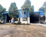 Bán nhà xưởng sản xuất gỗ Nội Thất xuất nhập khẩu, Trảng Bom, 12000m2, giá 45 tỷ.