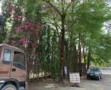 Bán nhà xưởng full SKN Cụm Công Nghiệp Tân An, Vĩnh Cửu, 37000m2, giá 182 tỷ.