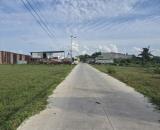 Bán đất đường bê tông 8 x 37m, giá 2 tỷ , thổ cư, Xã Hòa Khánh Tây, Đức Hòa, Long An.