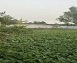 🌹 SIÊU HIẾM ĐẤT : HÒA MỸ - HỒNG MINH - PHÚ XUYÊN. Diện tích: 408m2 Mặt tiền: 16m Giá: 9,3