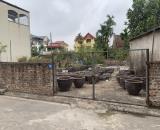 Chính chủ cần tiền bán gấp 60m2 TÁI ĐINH CƯ ĐÔNG DƯ đường 13m ô tô tránh, vị trí đẹp