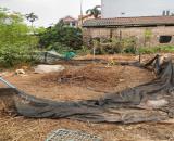 Bán 50m đất Tráng Việt, Mê Linh, HN. Đường thông, oto đỗ đất. Gần dự án cầu Thượng Cát