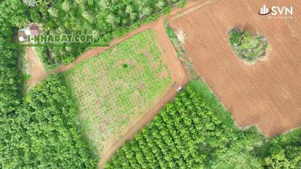 💥 Chỉ từ 147 TRIỆU/NỀN – Sổ hồng riêng – Công chứng sang tên ngay!  🔥