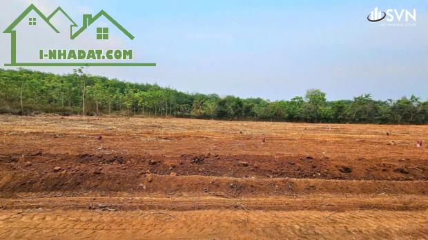 💥 Chỉ từ 147 TRIỆU/NỀN – Sổ hồng riêng – Công chứng sang tên ngay!  🔥 - 2