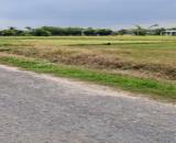 bán 10m ngang đất lúa mặt tiền đường ĐT787 gần chợ lộc hưng trảng bàng tây ninh sổ hồng