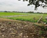 Chủ gửi bán nhanh lô đất đẹp Xã Hoằng Xuyên,Hoằng Hoá