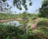 BÁN ĐẤT SIÊU TIỀM NĂNG PHÚC TRÌU, CAO THOÁNG, CÓ NHÀ CẤP 4 VÀ AO CÁ TRƯỚC NHÀ