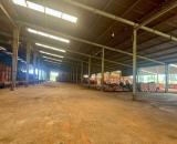 án công ty đang hoạt động tại Bình Thuận – nhà máy gạch, mỏ sét, đất trồng tràm