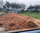 Bán dất SKC xây dựng kho xưởng tại Vĩnh Tân, Tân Uyên, tỉnh Bình Dương cũ