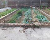 Bán đất Tráng Việt - Mê Linh - HN. Full thổ cư, oto đỗ. Gần cầu Thượng Cát. Cơ hội đầu tư