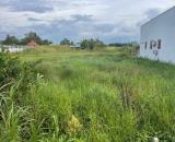 2100m2 đất lúa mặt tiền đường nhựa Rạch Tre xã An Thạnh, Bến Lức, Long An giá 13,7 tỷ