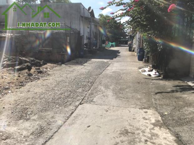 Đất 538m² Phước Thiền – Thổ cư 250m², ngang hơn 15m, nở hậu, giá tốt đầu tư - 2