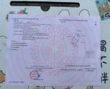 Đất Úc Gián – Thuận Thiên, Kiến Thụy – Giá chỉ 5xx triệu, cơ hội hiếm! ZALO 0567 222 555