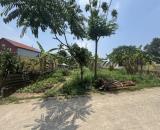 Bán Đất - Thắng Trí(Minh Trí)- 362m2 - 5 Tỷ - Đường Thông Ô Tô