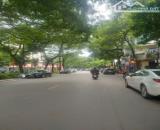 BÁN NHANH NHÀ MẶT PHỐ HOÀNG HOA THÁM, VỈA HÈ RỘNG, KINH DOANH TẤP NẬP, 58M2 HƠN 17 TỶ