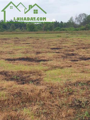 ĐẤT ĐẸP - ĐẦU TƯ SINH LỜI - Chính Chủ Kẹt Tiền Cần Bán Gấp Lô Đất tại Nhơn Trạch, Đồng Nai - 2