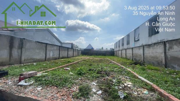 Đất đẹp 153m² (ngang 5m) Nguyễn An Ninh, Cần Giuộc chỉ 630tr, SHR