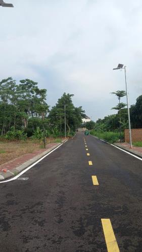 Đất đẹp Phú Cát – gần Đại học Quốc gia, FPT – giá cực tốt! - 1