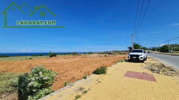 Bán đất 1000m2 tại đường 701, Xã Phước Dinh, Thuận Nam, Ninh Thuận, giá cực rẻ - 2