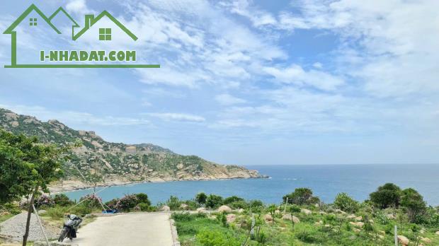 Bán đất 1000m2 tại đường 701, Xã Phước Dinh, Thuận Nam, Ninh Thuận, giá cực rẻ - 4