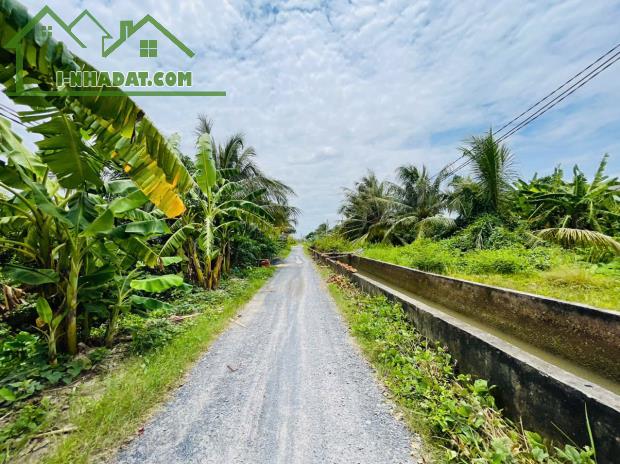 Ket Tiền bán nhanh 150m2 Đất Thổ Cư Sổ Hồng Riêng xã Mỹ Hạnh Nam - Giáp TP HCM - 2