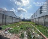 Đất đẹp 153m² (ngang 5m) Nguyễn An Ninh, Cần Giuộc chỉ 630tr, SHR