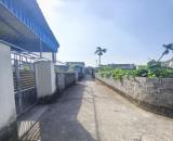 590 tr 100m2 Nghi Dương Kiến Thụy Zalo 0567222555