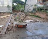 ĐẤT ĐẸP CAO LỖ - UY NỖ - ĐÔNG ANH – GIÁ RẤT HỢP LÝ