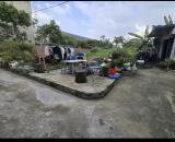 Bán đất Nam Hồng – Đông Anh (Phúc Thịnh), lô góc 65m², giá rẻ nhất khu vực  Thông tin ch