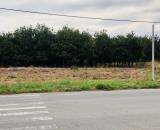 CẦN TIỀN NUÔI BÒ BÁN 3600M2 ĐẤT MT TỈNH LỘ SÁT CHỢ, TRƯỜNG HỌC DÂN ĐÔNG GIÁ 680 TR