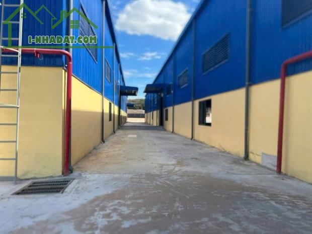 Cho Thuê 5.600m2 Nhà Xưởng Mới Tân Uyên Bình Dương PCCC Tự Động - 2