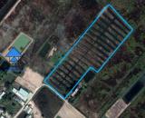BÁN ĐẤT LÝ NHƠN CẦN GIỜ TP HCM B1311