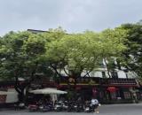 Bán Biệt thự Sông Đà Mỹ Đình, Trần Văn Lai , Nam Từ Liêm DT 569m² x 4T, MT 15,8m. Giá Rẻ.