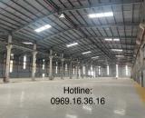 Cho thuê 3.000m2 - 5.000m2 - 8.000m2 Nhà Xưởng Trong KCN TP Mới Bình Dương PCCC Tự Động