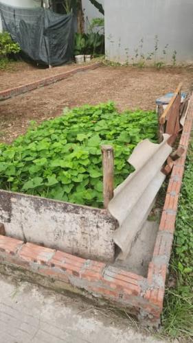 NHỈM 3 TỶ CÓ NGAY 40M ĐẤT VUÔNG VĂN MẶT TIỀN 4M - YÊN NGHĨA HÀ ĐÔNG - NGÕ THÔ Ô TÔ VÀO ĐẤT - 1