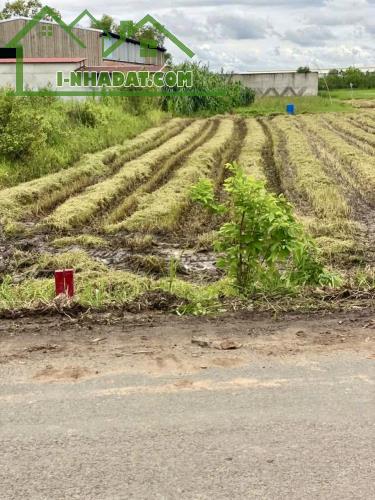 bán gấp đất mặt tiền đường nhựa lực viên giao đường mỹ hạnh 250m2 thổ 1,7tỷ