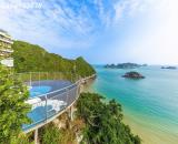 Flamingo Cát Bà – Resort không gian xanh ở 2 bãi tắm Cát Cò 1 & 2, giá chỉ từ khoảng 1,x