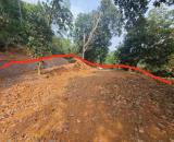 ĐẤT : SƠN ĐỒNG - TIÊN PHƯƠNG- CHƯƠNG MỸ. DT:1367M2 X 22M.MT. + Mảnh đất vàng khu vực thôn