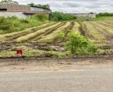 bán gấp đất mặt tiền đường nhựa lực viên giao đường mỹ hạnh 250m2 thổ 1,7tỷ