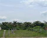 ĐẤT CHÍNH CHỦ - MẶT TIỀN Đường Số 2, Xã Hoà Khánh Đông, Đức Hòa, Long An