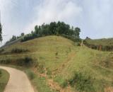 Cao phong hòa bình 5673m 400m thổ cư , mặt tiền 100m , giá chưa đến 500/m