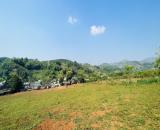 cao phong hòa bình 3774m 1141m thổ cư giá vài trăm ngàn/m2