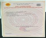 ❌❌❌BÁN LÔ F0 TẠI ĐOÀN XÁ – HÀNG MỚI VỀ!