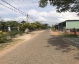 ✳️ Bán đất vườn xã Hàm Kiệm, Hàm Thuận Nam