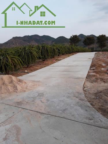 Chính Chủ Cần bán đất Thôn An Bình Xã Sông Phan, Hàm Tân Bình Thuận