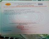 CHÍNH CHỦ BÁN SIÊU PHẨM ĐẤT ĐẸP 🔥Phù Hợp Cho Mọi Gia Đình